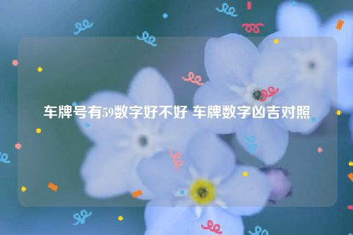 车牌号有59数字好不好 车牌数字凶吉对照