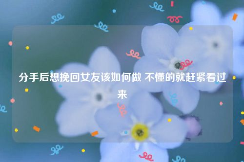 分手后想挽回女友该如何做 不懂的就赶紧看过来