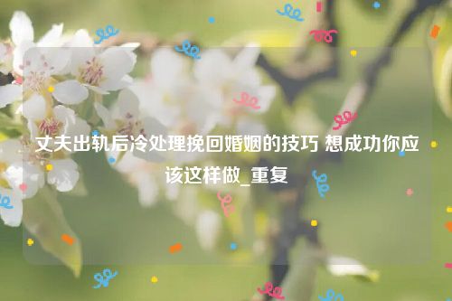 丈夫出轨后冷处理挽回婚姻的技巧 想成功你应该这样做_重复