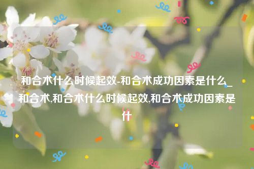 和合术什么时候起效-和合术成功因素是什么_和合术,和合术什么时候起效,和合术成功因素是什