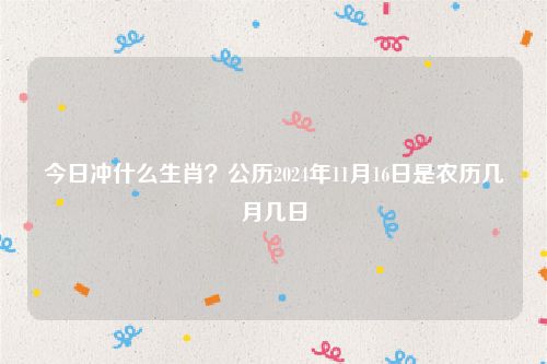 今日冲什么生肖？公历2024年11月16日是农历几月几日