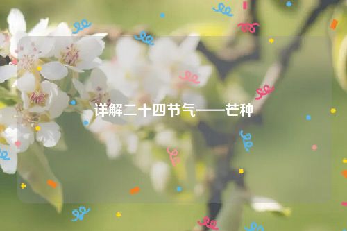 详解二十四节气——芒种